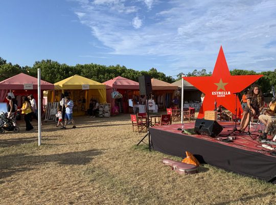 carpas-para-eventos-610x400-a2020op